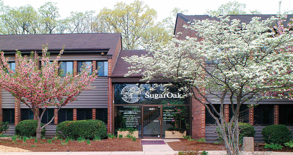 Sugar Oak Main Outside Trees Bloom